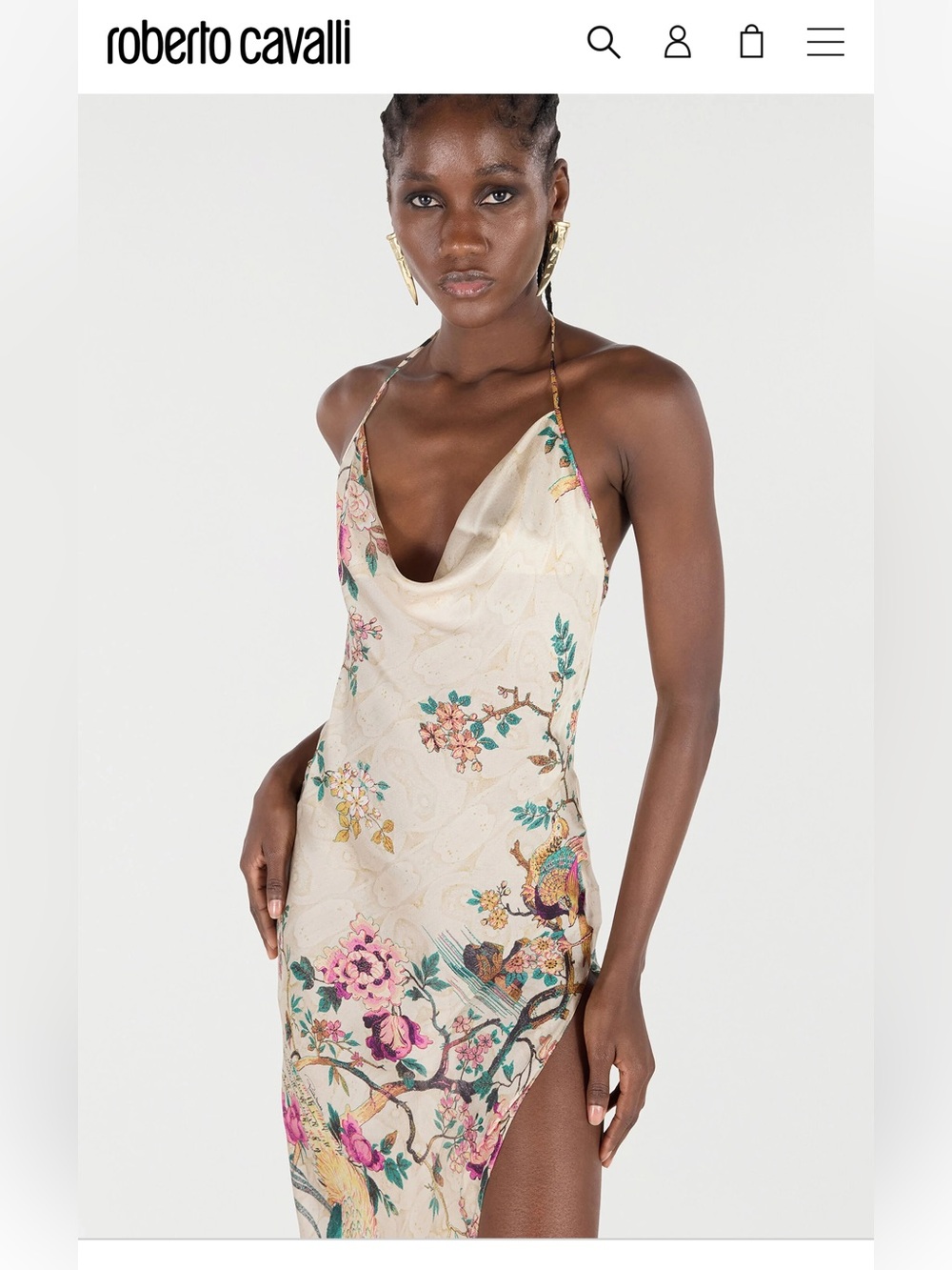 NWT Roberto Cavalli Maxi Silk Printed Dress - Picture 3 of 9